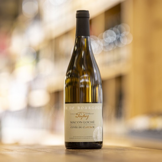 Clocher <span> 2022 </span> Domaine Tripoz