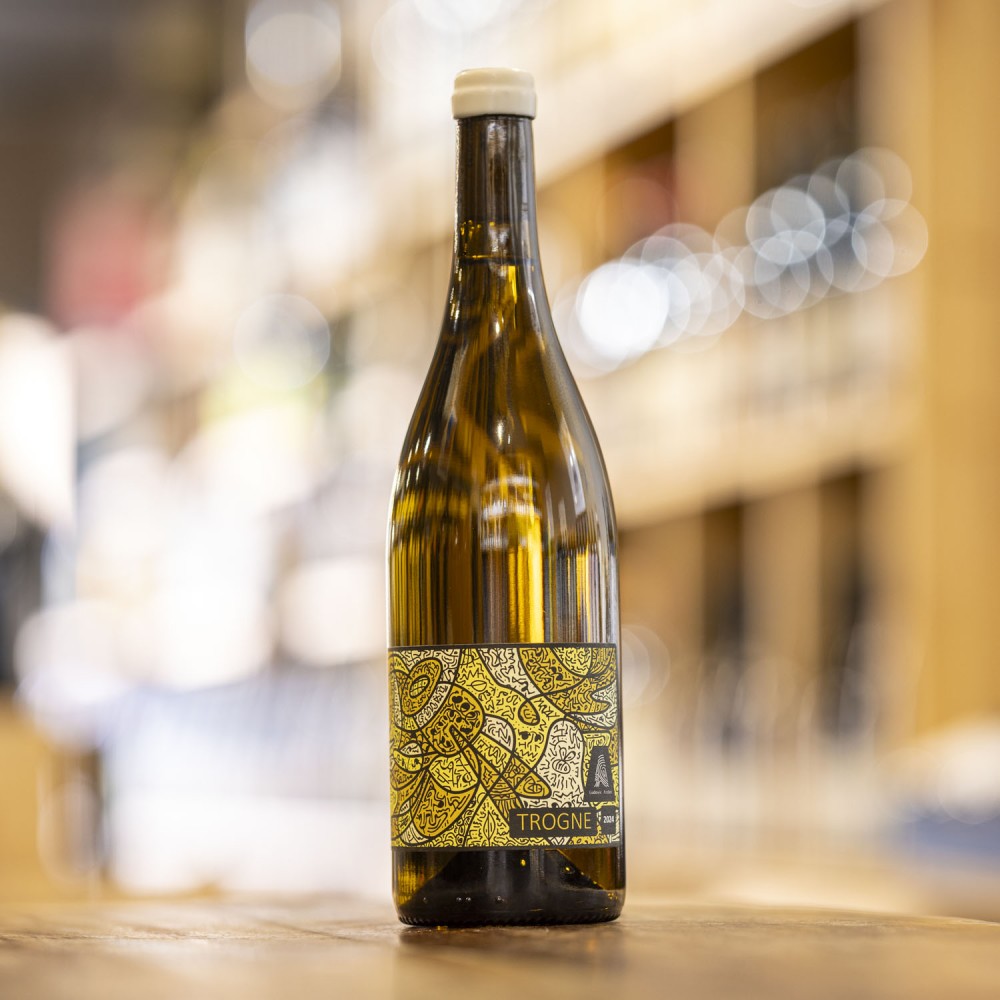 Trogne <span> 2024 </span> Ludovic Archer