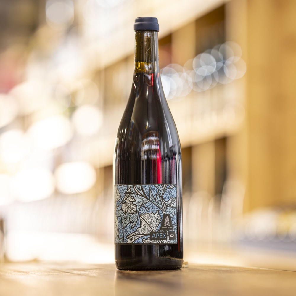 Apex <span> 2024 </span> Ludovic Archer