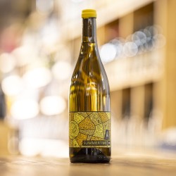 Summertime <span> 2024 </span>  Ludovic Archer