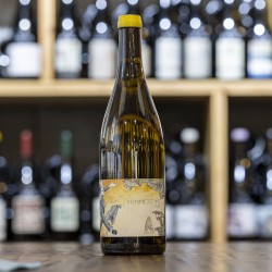 Summertime 2023 Ludovic Archer