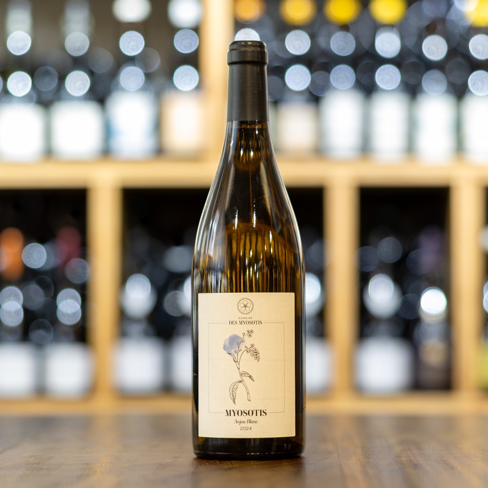 Myosotis <span> 2024 </span> Domaine des Myosotis 