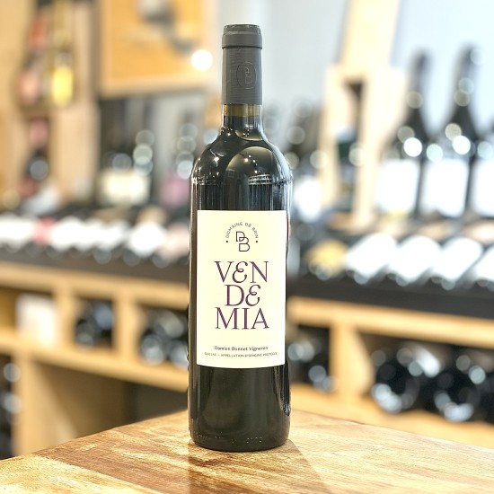 Vendemia <span> 2023 </span> Domaine de Brin